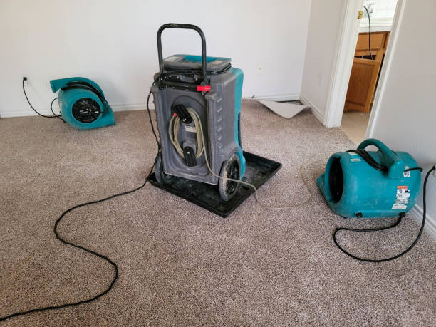 Best Water damage cleanup near me  in Manteo, NC