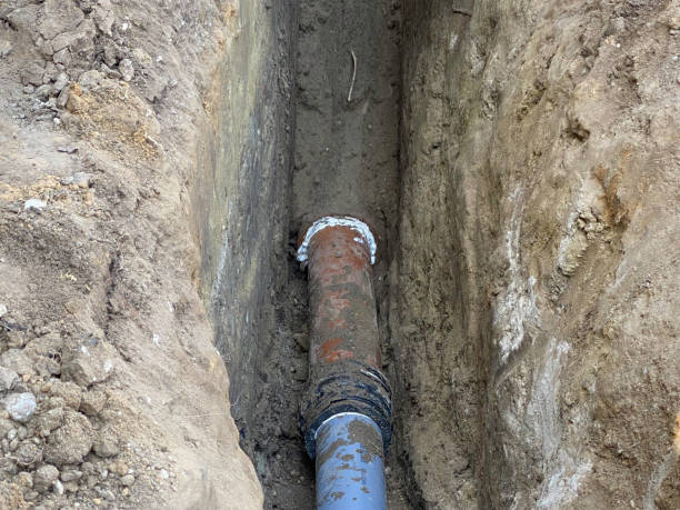 Best Basement water damage restoration  in Manteo, NC
