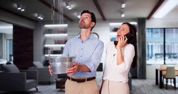 Best Sewage cleanup and water damage restoration  in Manteo, NC