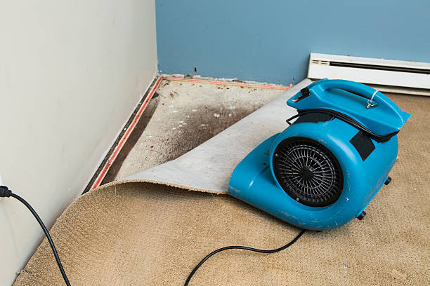 Best 24-hour water damage restoration  in Manteo, NC